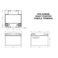 PC925 bateria 12V 28Ah C20 Odyssey Extreme ODS-AGM28L - 2