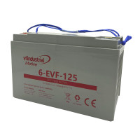 Pacote de 2 baterias gel AGM 12V 125Ah C20 ciclo profundo serie Industrial Motive 6-EVF-125 - 1
