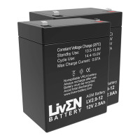 Pack 2 baterías (24V) para grúa Sunrise Medical Oxford Standaid de 12V 2,9Ah C20 Liven LV2.9-12 - 2xLV2.9-12 -  -  - 1