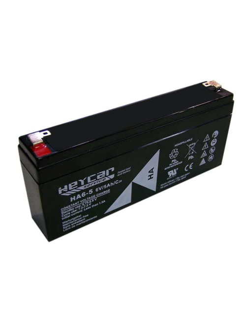 Batería para balanza o báscula Ohaus Defender 3000 con indicadores T31P y T32WX de 6V 5Ah C20 Heycar Service HA6-5 - HA6-5 -  - 