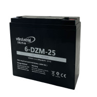 Batería gel AGM de 12V 25Ah C20 ciclo profundo serie Motive 6-DZM-25 - 6-DZM-25 -  -  - 1