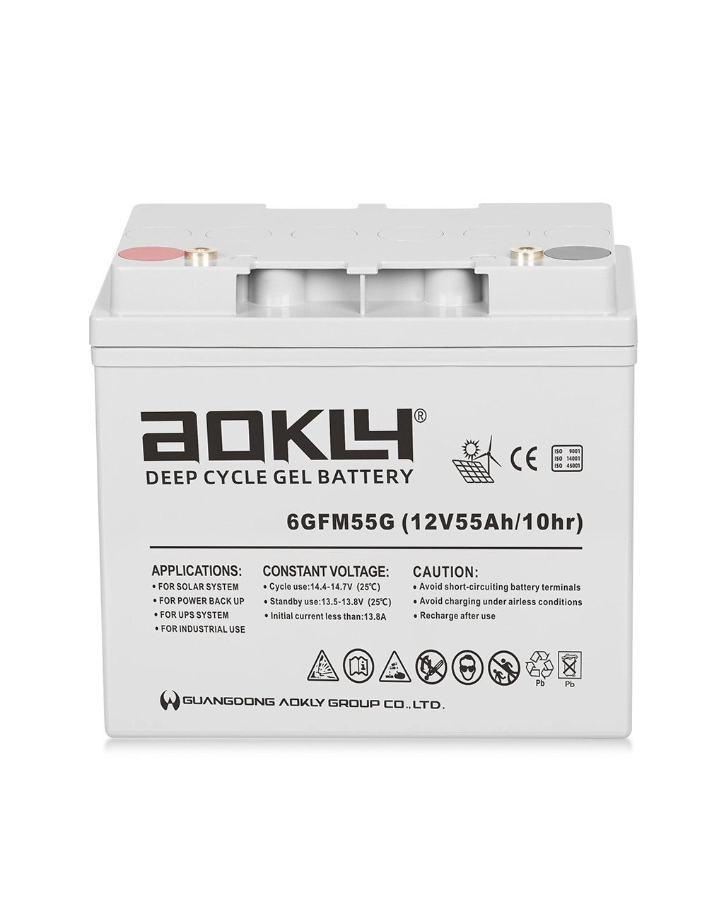 Batería de gel 12V 55Ah C10 ciclo profundo Aokly 6GFM55G - 1