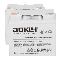 Pack 2 baterías de gel para Quickie Q100R de Sunrise Medical de 12V 55Ah C10 ciclo profundo Aokly 6GFM55G - 2x6GFM55G -  -  - 1