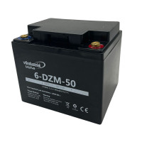 Batería gel híbrido 12V 50Ah C20 ciclo profundo Industrial Motive 6-DZM-50 - 6-DZM-50 -  -  - 1