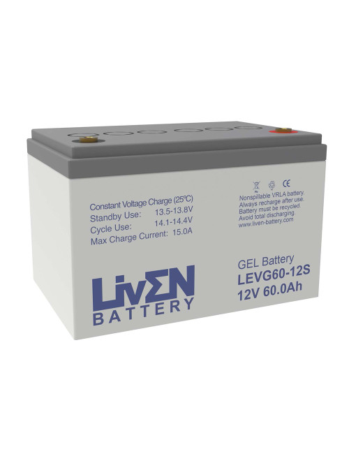 Bateria de gel puro 12V 60Ah C20 ciclo profundo Liven LEVG60-12S - 1