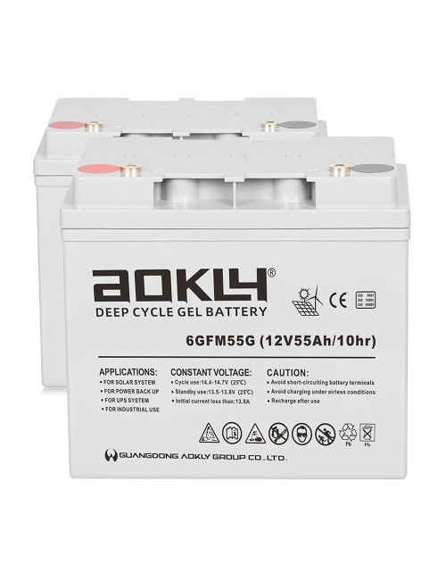 Pack 2 baterías de gel para Sterling S425 de Sunrise Medical de 12V 55Ah C10 ciclo profundo Aokly 6GFM55G - 2x6GFM55G -  -  - 1