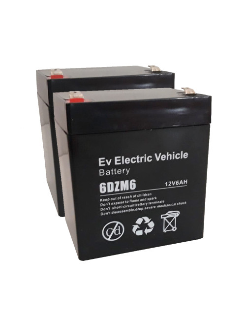 Pacote de 2 baterias para elevador LIFTKAR HD de 12V 6Ah C20 ciclo profundo 6DZM6. - 1