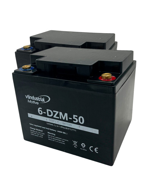 Pack 2 baterías gel para Invacare Bora de 12V 50Ah C20 ciclo profundo Industrial Motive 6-DZM-50 - 2x6-DZM-50 -  -  - 1