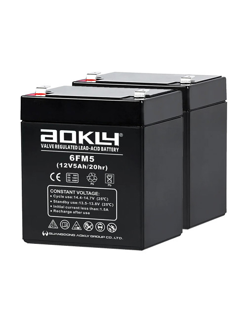 Pack 2 baterías para grúa de enfermos o personas mayores de 12V 5Ah C20 Aokly 6FM5 - 2x6FM5 -  -  - 1