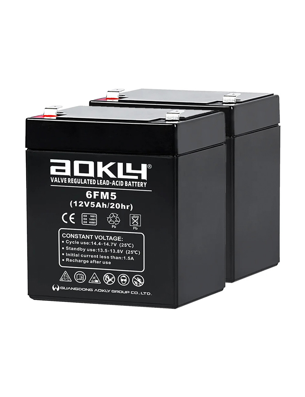 Pack 2 baterías para grúa de enfermos o personas mayores de 12V 5Ah C20 Aokly 6FM5 - 2x6FM5 -  -  - 1