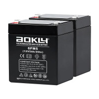 Pack 2 baterías para grúa de enfermos o personas mayores de 12V 5Ah C20 Aokly 6FM5 - 2x6FM5 -  -  - 1