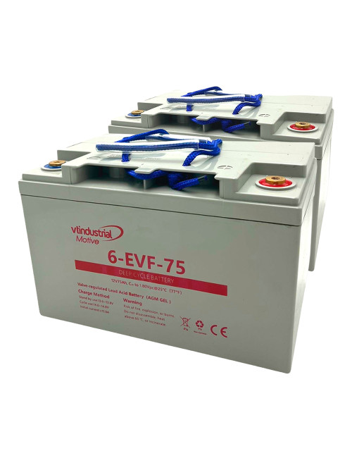 Pacote 2 baterias para empilhadores e porta-paletes 12V 75Ah C20 ciclo profundo Industrial Motive 6-EVF-75 - 1