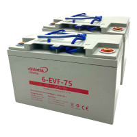 Pacote 2 baterias para empilhadores e porta-paletes 12V 75Ah C20 ciclo profundo Industrial Motive 6-EVF-75 - 1