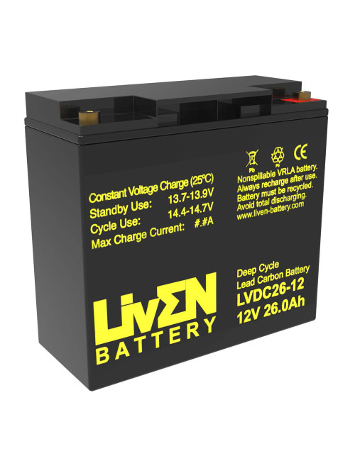 Batería AGM Gel 12V 26Ah C20 ciclo profundo Liven LVDC26-12 - LVDC26-12 -  -  - 1