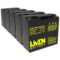 Bateria para Veleco Cristal (60V) pacote 5 baterias de 12V 26Ah C20 ciclo profundo Liven LVDC26-12 - 1