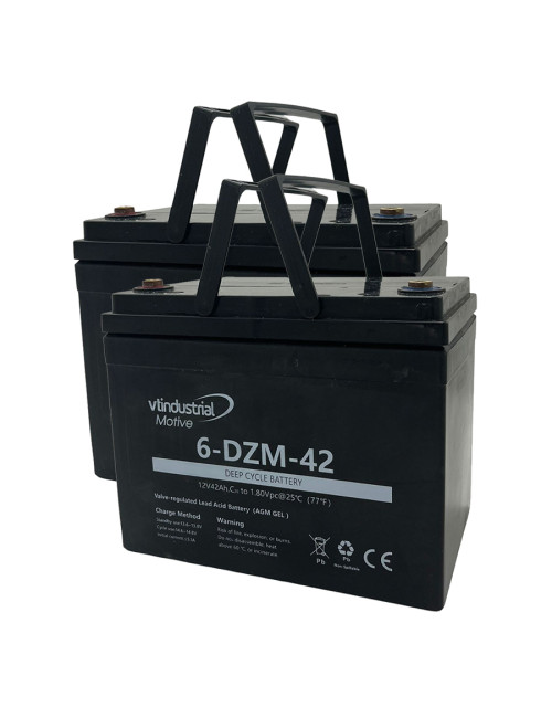 Pacote 2 baterias gel hibrido para Sterling Sapphire y Sapphire 2 de Sunrise Medical  de 12V 42Ah C20 ciclo profundo 6-DZM-42 - 