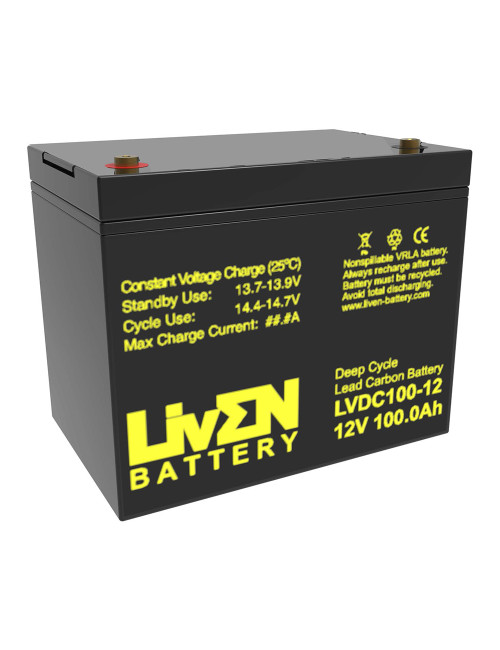 Batería gel carbono 12V 100Ah C20 ciclo profundo Liven LVDC100-12 (6-EVF-100, 6-EVF-80) - 1