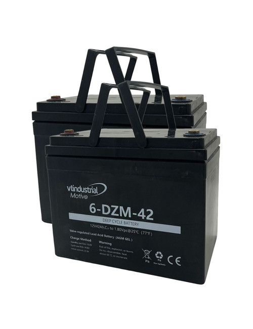 Pacote 2 baterias gel para Invacare Leo de 12V 42Ah C20 ciclo profundo serie Motive 6-DZM-42 - 1