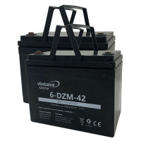 Pack 2 baterías de gel para Invacare Leo de 12V 42Ah C20 ciclo profundo serie Motive 6-DZM-42 - 2x6-DZM-42 -  -  - 1