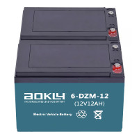 Pack 2 baterías para scooter y patinete eléctrico de 12V 12Ah C2 ciclo profundo Aokly 6-DZM-12 (6-DZF-12) - 2x6-DZM-12 -  -  - 1