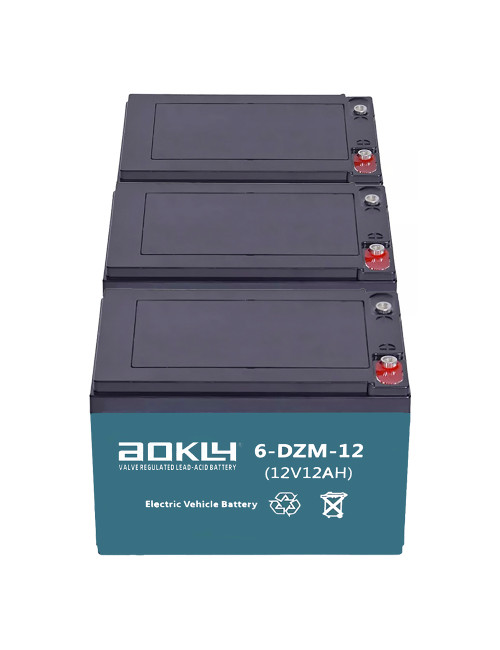 Pacote de 3 baterias para trotinete eléctrico de 12V 12Ah C2 ciclo profundo Aokly 6-DZM-12 (6-DZF-12) - 1