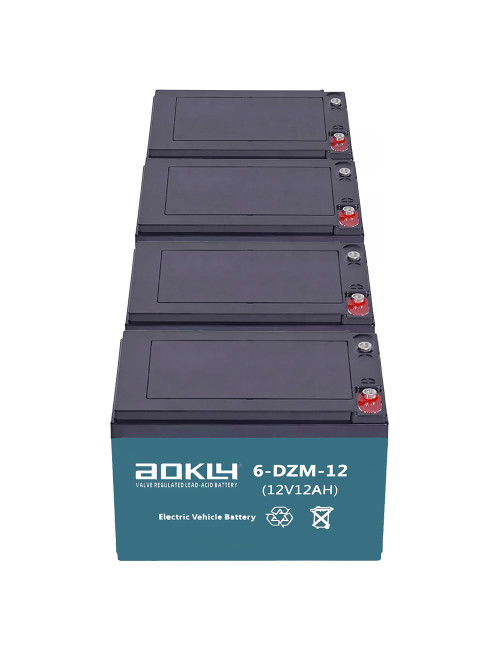 Pacote de 4 baterias para trotinete eléctrico de 12V 12Ah C2 ciclo profundo Aokly 6-DZM-12 (6-DZF-12) - 1