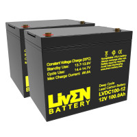 Pack 2 baterías para apiladores y carretillas de 12V 100Ah C20 ciclo profundo Liven LVDC100-12 (6-EVF-100, 6-EVF-80) - 2XLVDC100