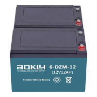 Pacote de 2 baterias para Rascal Veo de 12V 12Ah C2 ciclo profundo Aokly 6-DZM-12 (6-DZF-12) - 1