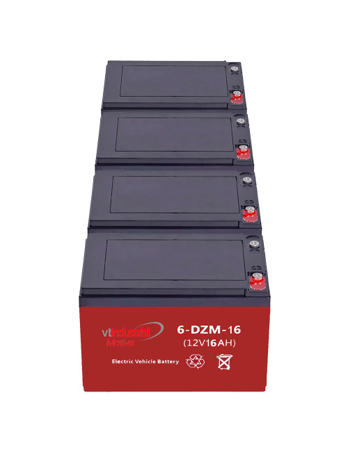 Pack 4 baterías para patinete eléctrico de 12V 16Ah C20 ciclo profundo (6-DZM-12/14/15, 6-DZF-12/14) - 4x6-DZM-16 -  -  - 1