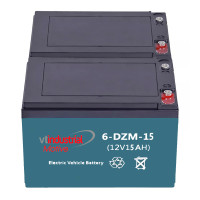 Pacote de 2 baterias para Rascal Veo de 12V 15Ah C20 ciclo profundo (6-DZM-10/12/14, 6-DZF-10/12/14) - 1