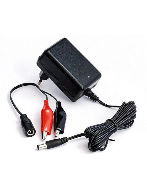 Carregador de 6V e 12V 1A para baterias de chumbo-ácido AGM e GEL com conetor de 5,5x2,1mm e pinças - 1
