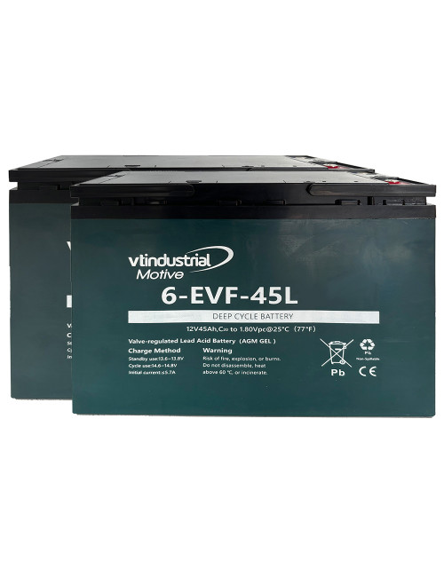 Pacote 2 baterias para Totalcare Mallorka y Mallorka Plus de 12V 45Ah C20 ciclo profundo EVF12-45L (6-EVF-38) - 1