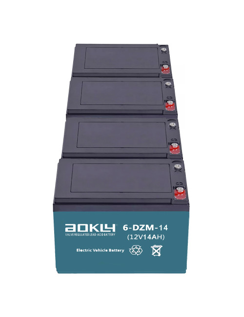 Pack 4 baterías para patinete eléctrico de 12V 14Ah C2 ciclo profundo Aokly 6-DZM-14 (6-DZF-12, 6-DZM-12, 6-DJM-12) - 4x6-DZM-14