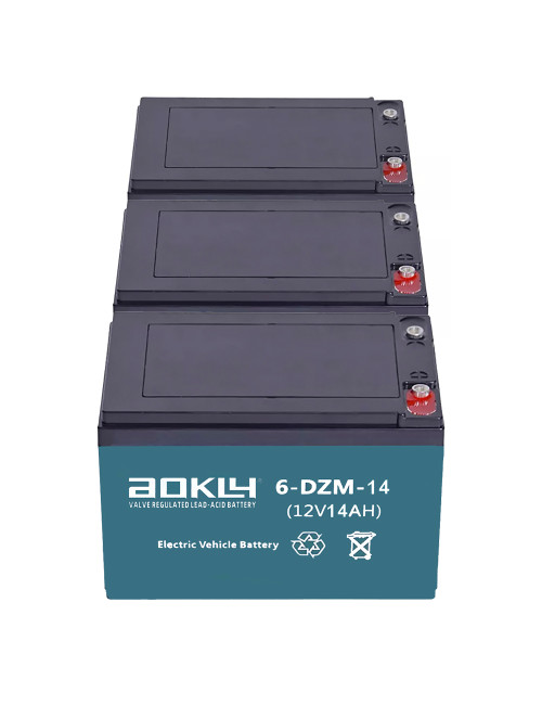 Pack 3 baterías para patinete, quad y scooter eléctrico de 12V 14Ah C2 ciclo profundo Aokly 6-DZM-14 (6-DZF-12, 6-DZM-12) - 3x6-
