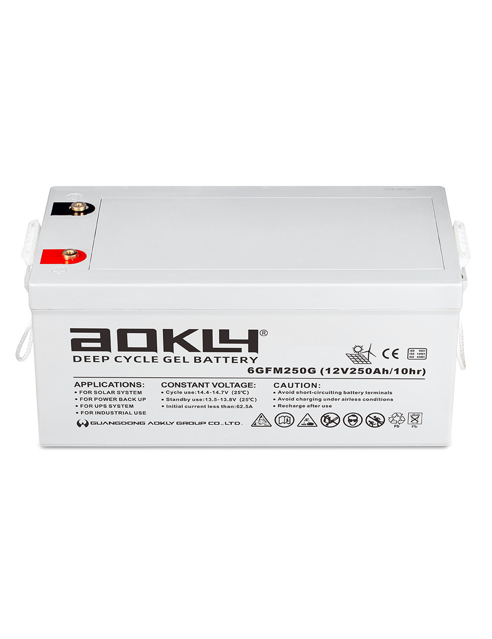 Batería gel 12V 275Ah C100/250Ah C10 ciclo profundo Aokly 6GFM250G - 6GFM250G -  -  - 1