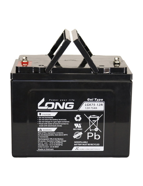 Bateria de gel 12V 80Ah C20/75Ah C10 ciclo profundo Long LGK75-12N - 1