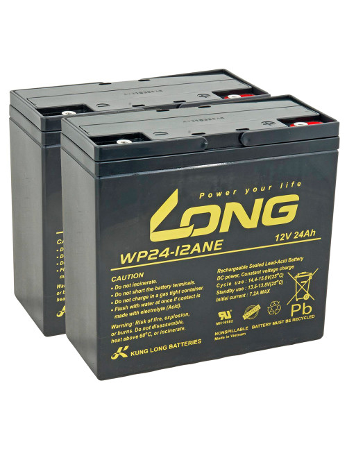 Pack 2 baterías para silla de ruedas y scooter eléctrico 12V 24Ah C20 ciclo profundo Long WP24-12ANE - 2xWP24-12ANE -  -  - 1