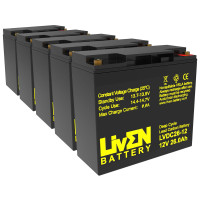 Batería para Vortex Goose Five (60V) pack 5 baterías de 12V 26Ah C20 ciclo profundo Liven LVDC26-12 - 5xLVDC26-12 -  -  - 1