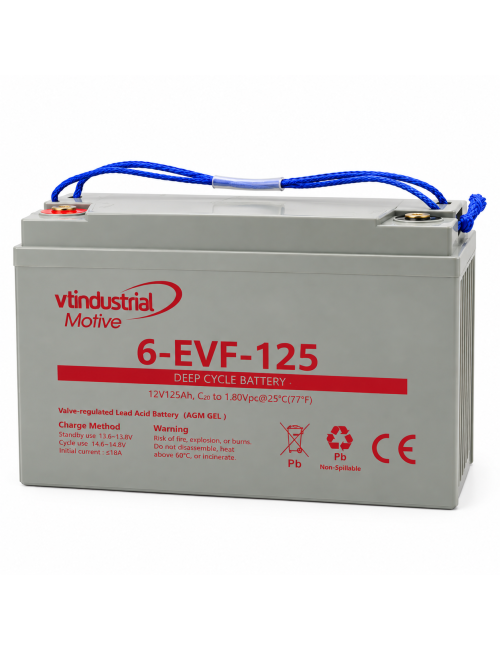 Batería gel híbrido 12V 125Ah C20 ciclo profundo Industrial 6-EVF-125 - 6-EVF-125 -  -  - 1